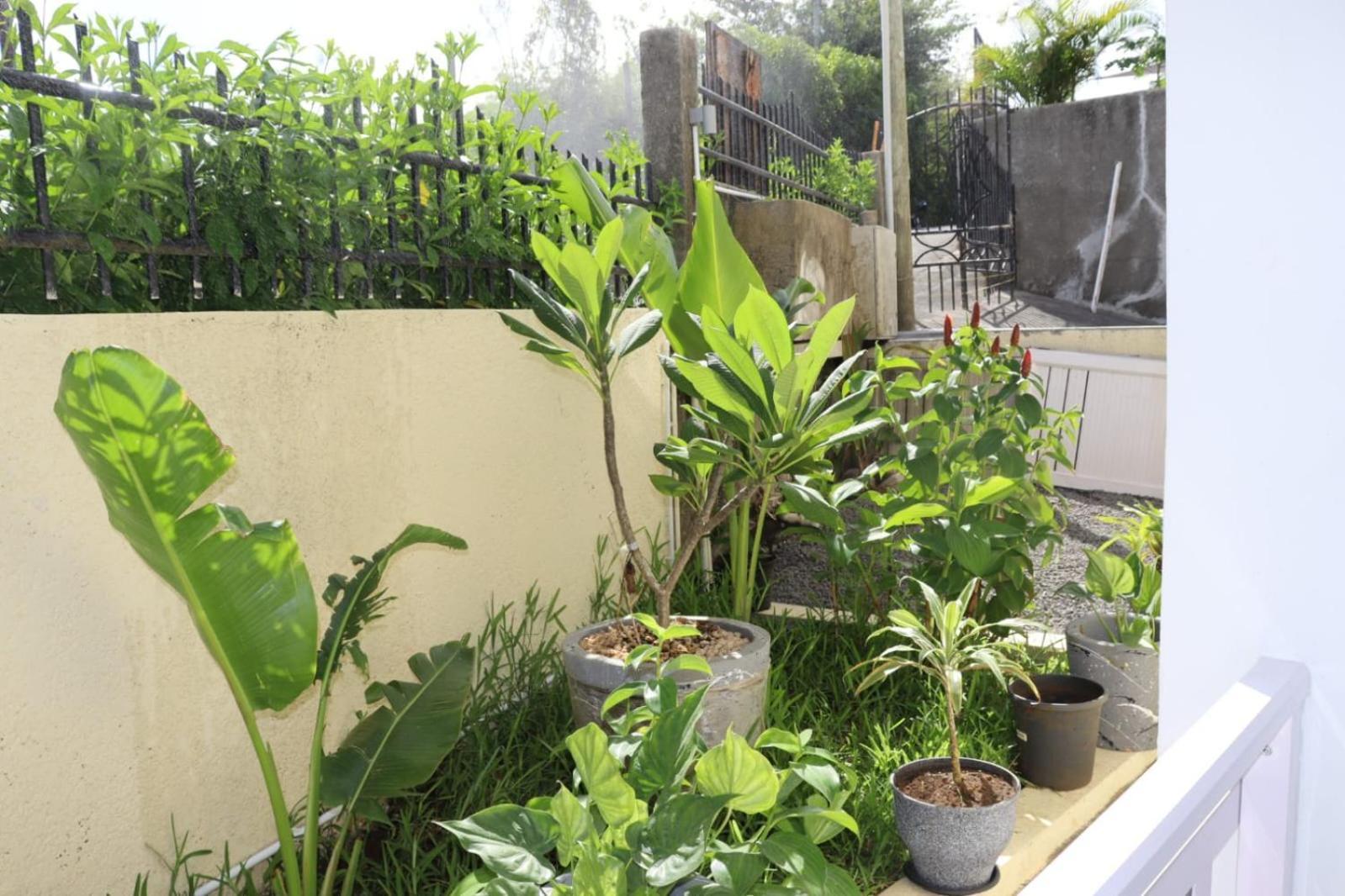 Garden Suite Trou d'Eau Douce Eksteriør bilde